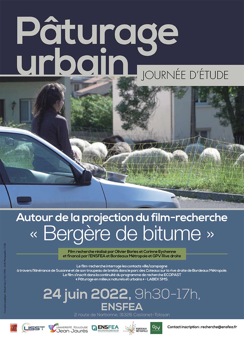 paturage urbain