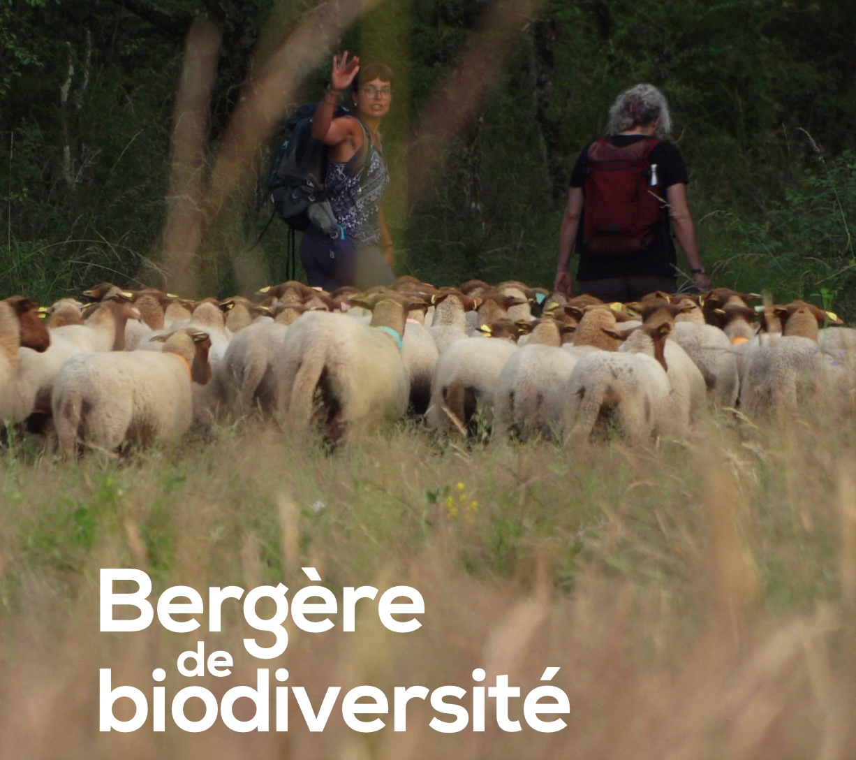 bergere_de_biodiversite