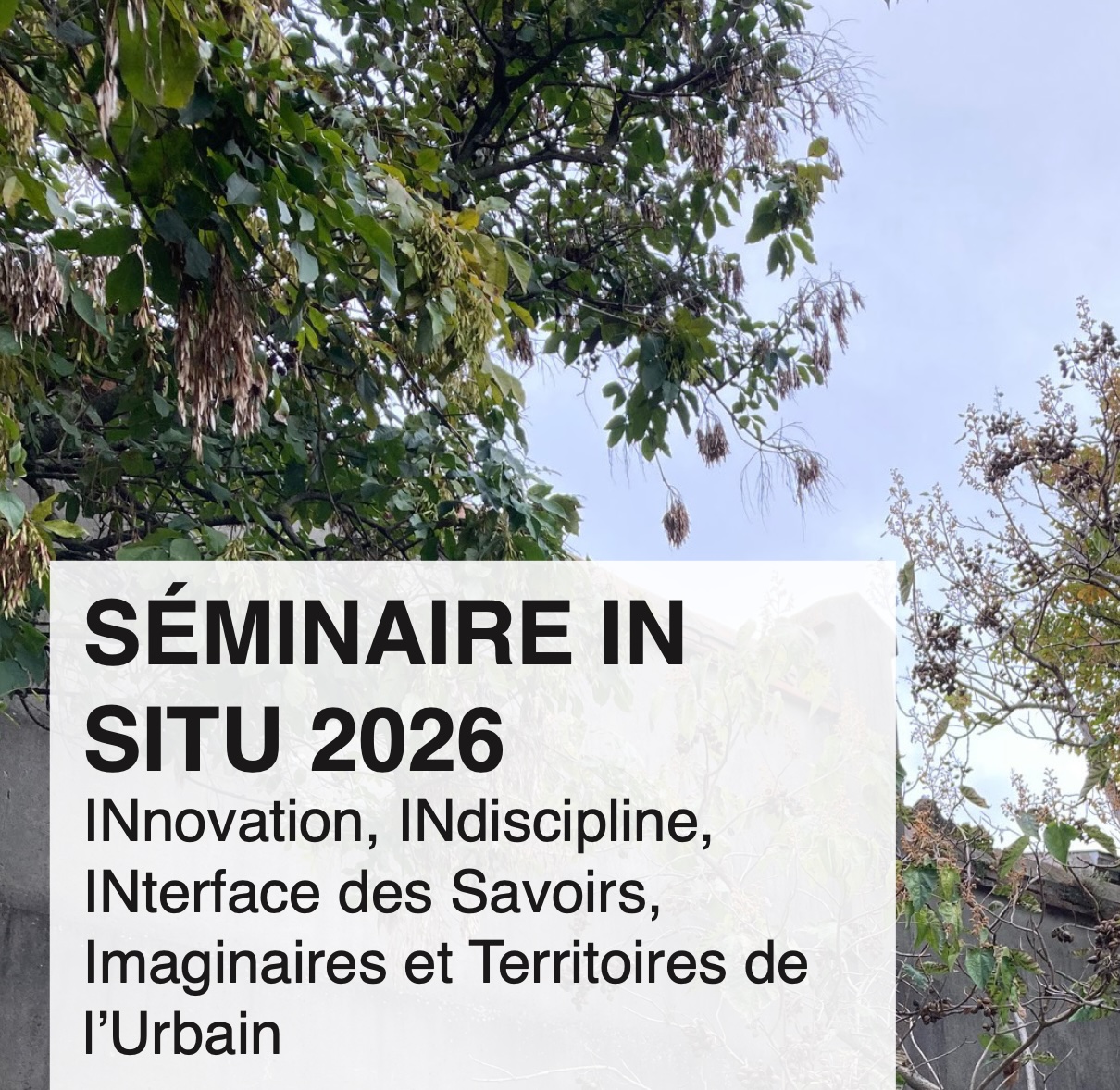 seminaire in situ juin 2026